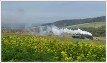 ÖGEG 657.2770 mit ihrem Fotozug SLP 93891 am 20.10.2019 von Gurten nach Ried, aufgenommen kurz nach der Ausfahrt aus Gurten.
