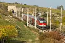1144 257 hat mit dem R 2347 soeben den sogenannten  Busserltunnel  zwischen Gumpoldskirchen und Pfaffstätten hinter sich gelassen. Das Foto entstand am 18.10.2019.