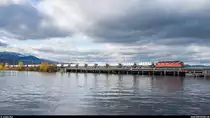 Ab ins Winterquartier.<br>
Re 6/6 11615  Kloten  mit dem letzten Knie-Zug der Saison am 18. November 2019 auf dem Seedamm kurz vor Rapperswil, der Heimatstadt des Zirkus Knie.