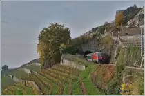 Auf den ersten Blick zu früh abgedrückt, auf den zweiten entdeckt man dann hinter dem Baum in der Bildmitte noch den letzten Wagen dieses acht Wagen umfassenden Fussballfan Zuges, welcher die SBB Re 4/4 II 11198 von Bern nach Sion bringt und hier beim  20 Meter langen Salanfe Tunnel mit bedacht die steile Talfahrt auf der Train des Vignes Strecke Richtung Vevey angeht.

24. Nov. 2019