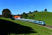 Auch wenn es nicht danach aussieht: Für dieses Bild des von 223 066 nach München HBF beförderten ALX 84107 bei Heimhofen war Standhaftigkeit und starker Einsatz gefragt. Während ich auf den Zug wartete, zeigte ein Jungstier großes Interesse und fasste schnell einseitig Zuneigung zu mir. Als ich den Auslöser betätigte, wurde ich gerade von einer Rinderzunge von oben bis unten abgeschleckt.... 