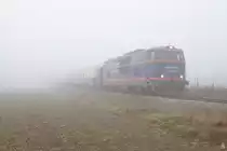 Nebelstimmung üben auf mich einen ganz besonderen Reiz aus. Es ist komplett ruhig und Sicht beträgt keine hundert Meter. Doch adann hört man das Blubbdern des 12 Zylinder Dieselmoters und dann taucht der NEX nach Ernstbrunn aus dem Nebel auf. (26.10.2019)