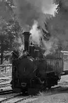 Die 1906 von Krauss in Linz gebaute Dampflokomotive  12  Ende August 2019 am Bahnhof in Mauterndorf.