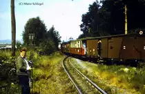 100 Jahre Zittauer Schmalspurbahn: Ausfahrt des Radebeuler Traditionszuges aus dem Bahnhof Bertsdorf in Richtung Zittau. Hinweis: digitalisiertes Dia