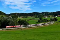 Erneut mit Rindviechern auseinandersetzen musste ich mich am Nachmittag des 29. September 2019. Hatte sich am Vormittag erst ein Jungbulle mit mir auf einer Wiese bei Heimhofen anfreunden wollen, zog ich bei Harbatshofen gleich das Interesse einer ganzen Herde auf mich. Laut muhend wurde meine Anwesenheit kommentiert. So wählte ich für die Aufnahme des EC 194 nach Zürich HB einen tieferen Standpunkt, als ursprünglich beabsichtigt, um möglichen Konflikten oder Zuneigungsbekundungen aus dem Weg zu gehen. An diesem Tag bespannten 218 430 und 433 den internationalen Fernzug. Aufgrund des Münchner Oktoberfestes verkehrte der EuroCity um einen Wagen verstärkt.