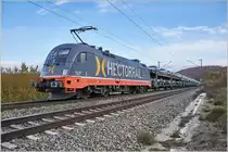 242.531 (182.531-4) / Einbeck / 13.11.2019