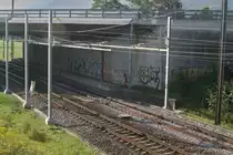 Unter der Autobahnbrücke bei Sargans konnte ich die Fahrleitung auf der Strecke von Sargans nach Chur ablichten: eine Art Stromschiene bewerkstelligt die Stromversorgung. Diese Konstruktion vor der Brücke wechselt vom Fahrdraht zur Stromschiene.

Sargans, 23.08.2019
