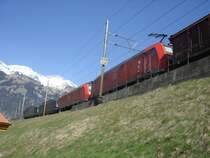 Nachschuss aus ungewohnter Perpektive: Zwei Re 465 und zwei BR 185 sind am 1.4.2007 in der n�he von Frutigen mit einem Tonerdezug unterwegs.