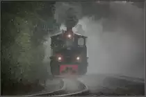 TÜRL NR. 11

Der Flascherlzug dampft durch starken Regen im Sommer 2019