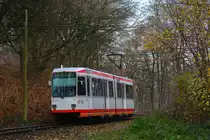Nachschuss auf den Tw 321. Soeben hat er Papenholz verlassen und rauscht nun durch den kurzen Wldabschnitt zur Haltestelle Am Honnengraben. Zum Fahrplanwechsel und der Stilllegung zwischen Papenholz und Bochum Unterstraße wurden restlichen 1976 und 1977 gebauten M6S Triebwagen abgestellt. Nun verkehren hier neue Vario Triebwagen des Types 6xNfGlTwZR. Zwischen Crengeldanz und Witten Heven besteht nun Inselverkehr. Der Abschnitt Crengeldanz bis Unterstraße bleibt vorerst Betriebsstrecke.

Witten 30.11.2019