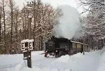 Am 01. Januar 2003 fährt ein Zug der Zittauer Schmalspurbahn in den Haltepunkt Kurort Jonsdorf Hst. ein.