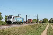 Am Morgen des 12.09.2018 fuhr Rpool/BLSC 187 004-7  BLS Cargo. Die Alpinisten.  mit ihrem Containerzug auf Höhe der Gemiende Hügelheim durchs Rheintal in Richtung Schweizer Grenze.