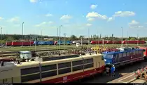 Blick auf die Gleisanlagen des DB Werk Dessau (DB Fahrzeuginstandhaltung GmbH) mit zahlreich abgestellten E-Loks unterschiedlicher Generationen.
Aufgenommen von einer frei zugänglichen Treppe während des Tags der offenen Tür anlässlich 90 Jahre Instandhaltung elektrischer Lokomotiven.
(verbesserte Version mit erneutem Weißabgleich)
[31.8.2019 | 14:15 Uhr]