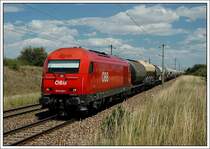 2016 026 war am 8.7.07 mit einem langen GZ Richtung auf der Nordbahn Richtung Westen unterwegs. Die Aufnahme entstand kurz nach der Station Helmahof zw. Strasshof und Deutsch Wagram. Wie ihr auf dem Foto sehen k�nnt, wird auch auf der Nordbahn links gefahren.