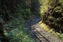 Wenn man sein Auto an der Gabelung von Bundesstraße 81 und Bahnstrecke (hinter Tiefenbachmühle, Fahrtrichtung Nord) abstellt, sich durch Brennesseln und Brombeerranken schlägt, den  reißenden  Tiefenbach überquert und sich dabei nasse Füße geholt und dann mit einiger Mühe und Kletterkünsten einen Felsen erklommen hat, bietet sich einem dieses Bild: Der Felseinschnitt zwischen  Tiefenbachmühle  und  Sophienhof . Hier erwarten wir bei unserer Tour am 31.08.2019 nun die Durchfahrt von P8920 (Nordhausen-Brocken).