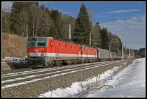 1144 028 + 1144 256 mit Güterzug bei Steinhaus am 7.01.2020.