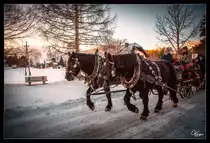 Auch heuer gab es auf der Taurachbahn wieder die beliebten Winterzüge. Hier fährt die 298.56 von Mauterndorf nach Sankt Andrä im Lungau.  
Mariapfarr  28_12_2019