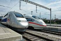 Bhf. Basel SBB. Wer hat die sch�nere  Nase  ? Der TGV oder der ICE3 ? Dazu gibt es sicher unterschiedliche Meinungen, oder etwa doch nicht ? Foto vom 8.7.2007