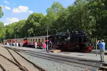 Gerade hat am Nachmittag des 31.08.2019, 99 6001 mit P8965 (Gernrode-Hasselfelde)den Bahnhof Alexisbad erreicht, wo auch wieder Wasserfassen ansteht. Bei den herrschenden Temperaturen und angesichts des spritzenden Wassers, hatte der Fotograf nicht übel Lust, den Wasserkran als Dusche zweckzuentfremden!! ;-)