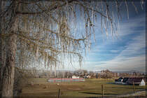 Ob den Kuhli´h Muh´s auch so kalt wie dem Baum ist ? 

Vorgeschmack auf den  Winter   13.01.2020 bei St. Peter im Sulmtal 
