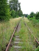 Die K�chwaldstrecke wird als Fu�weg genutzt, hier sind noch die Pfeiftafeln am km 3,8 erhalten, 10.07.07