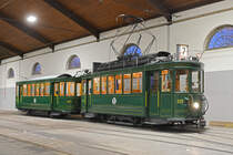 Am 17.01.2020 fand die 20. Museumsnacht statt. Zeitgleich wurde das neue Trammuseum im Depot Dreispitz eröffnet. Mit dem Oldtimer Zug mit dem Be 2/2 215 und dem B2 423 betrieb der Tramclub eine Oldtimerlinie zum Depot Dreispitz. Man durfte im Depot Bilder machen.