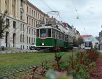 Graz. TW 121 war im August 2019 als
Sonderfahrt zwischen Liebenau und der
Laudongasse unterwegs, hier kurz vor dem
Finanzamt. 