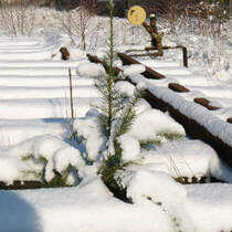 19. Januar 2016, So eine Winterstimmung ist in diesem Jahr noch nicht nachvollziehbar.  Ausgebaute Weiche im Bahnhof Kronach.