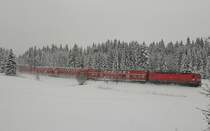 Mit einem 143-Sandwich ist eine Doppelstockgarnitur am 28.12.2014 zwischen Hinterzarten und Titisee unterwegs. Leider ist die zweite Lok durch die Tanne verdeckt.