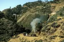 VT 2 + 442 55   bei Km 110  24.01.03