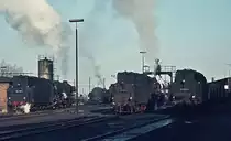 Auch ein schöner Rücken kann entzücken: Alle vier damals noch auf der Emslandbahn eingesetzen Dampflokbaureihen präsentieren sich an einem kalten Februarmorgen 1975 im Bw Rheine auf einem Bild, von links nach rechts 012 055-0, eine unbekannte Emdener 044, 042 083-6 und und 043 672-5 