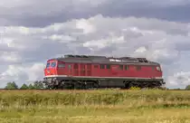 LEG 232 238-6  auf Leerfahrt hier Strecke (Passow–Stendell) 02/09/2019