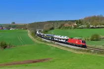 1116 191 mit einem Autozug am 18.04.2018 bei Edlhausen.