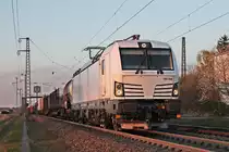 Beim letzten Sonnenlicht des 29.03.2019 fuhr die weiße 193 360 mit dem gemischten Güterzug EZ 51943 (Mannheim Rbf - Basel Bad Rbf) durch den Haltepunkt von Auggen über die KBS 703 durchs Rheintal in Richtung Schweizer Grenze.