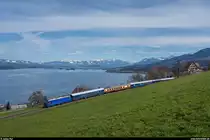 M-Rail Re 456 111 mit SSG-Brunchfahrt am 8. März 2020 bei Burghalden.