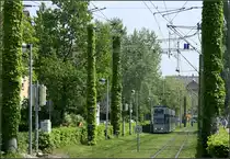 Mit der Straßenbahn in den Freiburger Westen -

Nicht nur die Gleise sind begrünt sondern auch die Masten. Die 1983 eröffnete Strecke durch Stühlinger und Betzenhausen macht insgesamt einen sehr grünen Eindruck. Hier ein Blick vom Gleisdreck an der Haltestelle 'Technisches Rathaus' (heute Rathaus am Stühlinger) in die Trasse der Wannerstraße.

11.05.2006 (M)