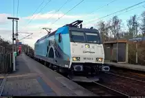Stahlzug mit 185 549-3 der Captrain Deutschland GmbH, untervermietet an die Regiobahn Bitterfeld Berlin GmbH (RBB) und mit Werbung für Stahlrohre von Mannesmann (Salzgitter AG), durchfährt den Hp Magdeburg Herrenkrug auf der Bahnstrecke Berlin–Magdeburg (KBS 201) Richtung Biederitz.
(Smartphone-Aufnahme)
[29.11.2019 | 10:16 Uhr]