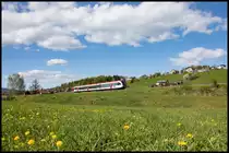 Strömender Regen wurde von strahlendem Sonnenschein abgelöst ,.. 
Perfektes Wetter zum Knipsen. 
Am Heimweg vom Dienst bei Kresbach.
14.04.2020