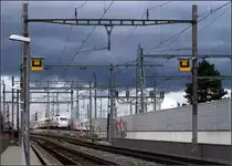 Unter viel Hochspannung und dunklen Wolken -

Ein ICE in Fahrtrichtung Deutschland hat in Basel auf der Schwarzwaldbrücke den Rhein gequert und wird gleich den Bahnhof Basel Badischer Bahnhof erreichen.

Auf Fototour mit Olli, 07.03.2019 (M)