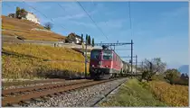 Die SBB Re 420 257-8 fährt kurz vor Lutry mit einem Kesselwagenzug durch das herbstliche Lavaux.

3. Nov. 2017