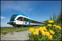 Die blaue Perle der Weststeiermark ... 
5063.08 auf der Leibenfelder Höhe an diesem strahlenden 15.04.2020