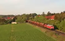 218 381 und 212 297 sind mit einem Holzzug(DGS 91273)am 30.04.19 von Triptis nach Kaufering unterwegs. Hier ist der Zug bei Neustadt an der Orla zu sehen.