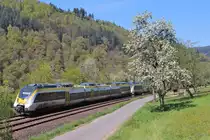 Noch blüht es am Neckar. Am Mittag des 16.04.2020 ist sind zwei Abelliohamster als RE10a nach Heilbronn zwischen Zwingenberg und Neckargerach unterwegs.