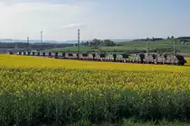 Panzerzug der Pz S 21 bei Gsteig.
Am 16. und 17. April 2020 wurden die Fahrzeuge der Pz Sap Kp 21/5 mit einem Zug von Thun Güterbahnhof nach Bure-Casernes transportiert. Für die Strecke Thun - Biel Rangierbahnhof stand die Re 420 329-5 im Einsatz. 
Nach der Übernachtung im RB Biel wurde für die Weiterfahrt bis Bure-Casernes die stärkere Re 620 007-5  WATTWIL  vorgespannt.
Dieser Zug hatte Biel noch während der Dunkelheit um 06:00h verlassen. 
Die Aufnahmen sind bei Gsteig, in Delémont und Glovelier entstanden.
Foto: Walter Ruetsch