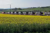 Panzerzug der Pz S 21 bei Gsteig.
Am 16. und 17. April 2020 wurden die Fahrzeuge der Pz Sap Kp 21/5 mit einem Zug von Thun Güterbahnhof nach Bure-Casernes transportiert. Für die Strecke Thun - Biel Rangierbahnhof stand die Re 420 329-5 im Einsatz. 
Nach der Übernachtung im RB Biel wurde für die Weiterfahrt bis Bure-Casernes die stärkere Re 620 007-5  WATTWIL  vorgespannt.
Dieser Zug hatte Biel noch während der Dunkelheit um 06:00h verlassen. 
Die Aufnahmen sind bei Gsteig, in Delémont und Glovelier entstanden.
Foto: Walter Ruetsch