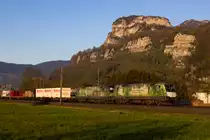 Doppeltes Grün bei den Loks. Greenpoints (1016 023-4) und 100% Ökostrom (1016 020-0) zwischen Dornbirn und Hohenems. 15.4.20