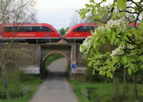 Das Licht passte nicht mehr so ganz am Abend des 08.04.2020. Die Apfelblüte ist in vollem Gange, als eine Doppeltraktion 642 als RE Heilbronn-Crailsheim zwischen Neuenstein und Waldenburg über einen Durchlass fuhren. 