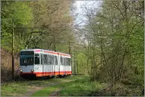 Seit Dezember 2019 Geschichte ist der eingleisige Überlandabschnitt der Linie 310 (Höntrop-Bochum-Heven) durch diesen Wald, nahe der Haltestelle Papenholz. Denn zurzeit wird an einer Neubaustrecke gebaut und die Linie 310 bald eine neue, städtischere Streckenführung bekommen. 
April 2019