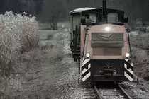 Entlang von Schilf zieht die kleine Diesellok ihren Holz-Zug nach Kraubath 30.11.2013
