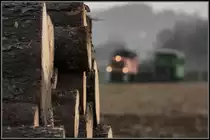 Für´s Holz unterwegs . 
An diesem Tag aber leer . 
D6 mit einem Waldbahnzug bei Neudorf im Stainztal. 
30.11.2013